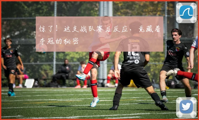 惊了!这支战队赛后反应,竟藏着夺冠的秘密